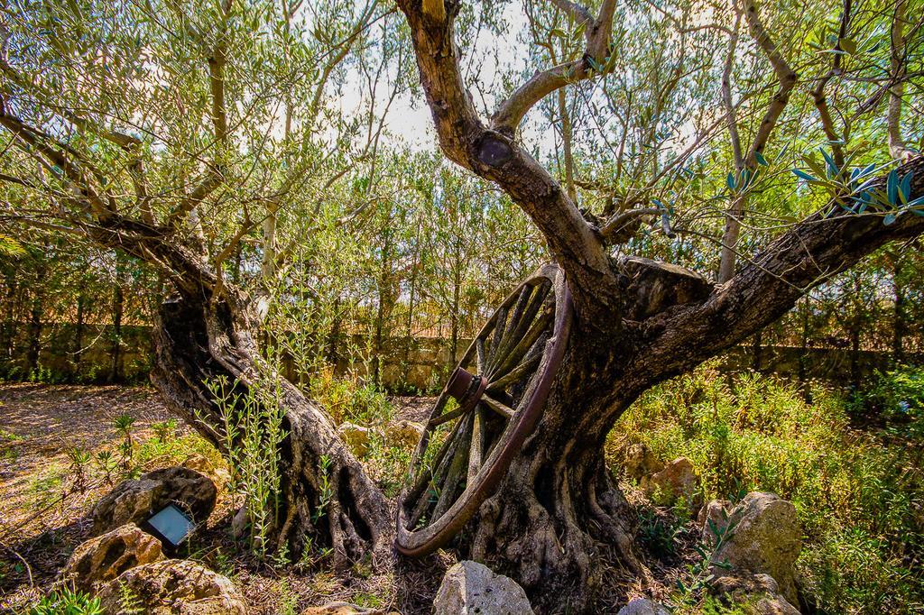 Can Pascolet Inca  Esterno foto